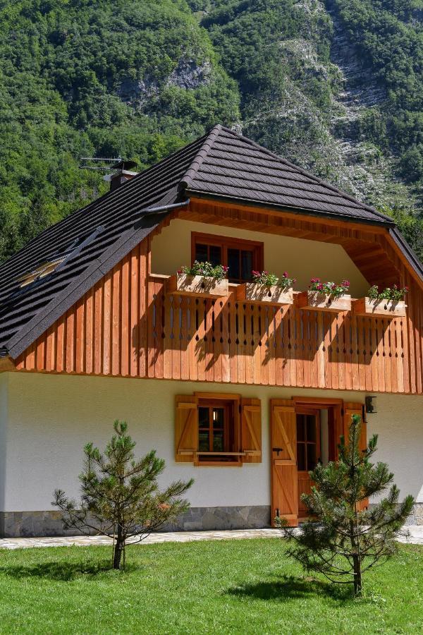 Julian Village Lepena Soča エクステリア 写真