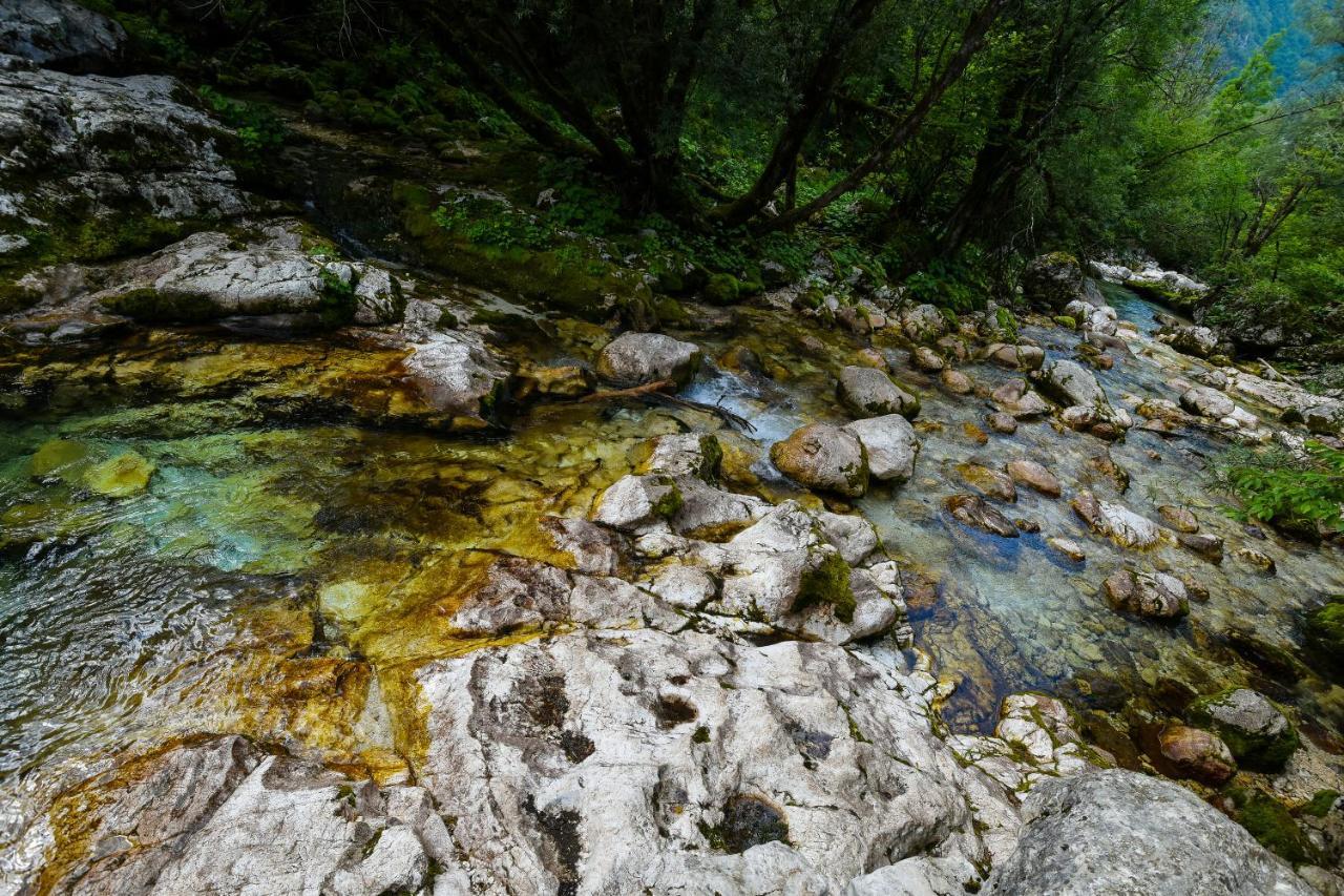 Julian Village Lepena Soča エクステリア 写真