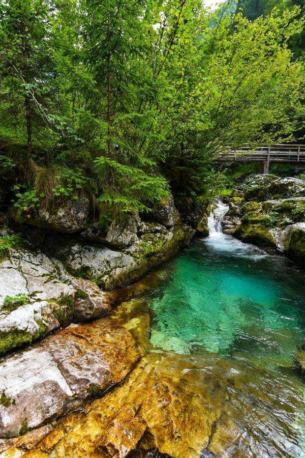 Julian Village Lepena Soča エクステリア 写真